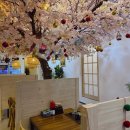 참다랑 | 수원 참치 맛집 망포역 마구로훈, 로 세트 제대로 먹고 온 후기