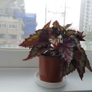 바른바디힐링카페