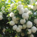 선소리 민박 이미지