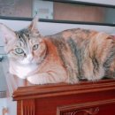 장유부영2차아파트 이미지