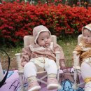 센트럴메드 이미지