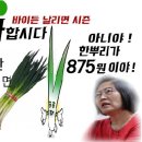 이수정의 궤변 대파 한뿌리 875원 이미지