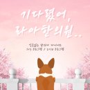 라아한의원 이미지