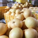 남상면사무소 이미지