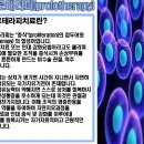 세움보조기 이미지