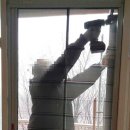 향남아이비어린이집 이미지