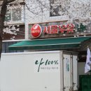 애니카랜드 합정점 이미지