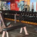 레드피트니스 이미지