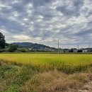 궁현2리 이미지