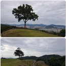 용마산입구 이미지