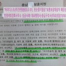 임 행정사 사무소 이미지