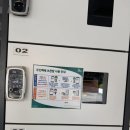 청담예마 | 강남 상견례선물 도라지정과 추천 청담예마 가격 정보 내돈내산 후기