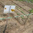 채림농장 이미지