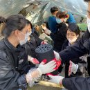 영월연탄 이미지