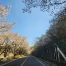 산안2리마을 이미지