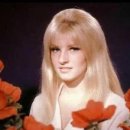Evergreen - Susan Jacks 이미지