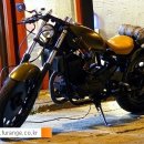 데이스타 이미지