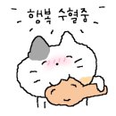 종합운동장역 6번출구(뒤) 이미지