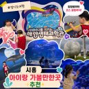 안산미디어도서관 | 시흥 거북섬 놀거리 해양생태과학관 포함 2곳 아이랑 여행코스