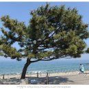 경춘목장 이미지