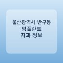 이레치과의원 | 울산광역시 반구동 임플란트 어디서 할까? 가격·후기·치과 정리