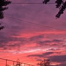 원흥로100번길(3-241) | 주간일기 잘먹고 잘놀다가 체한후기(무화과곁들인)