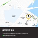 옐레드 애견유치원&애견호텔 부산용호점 이미지