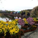 새로운 백제와의 만남, 제14회 굿뜨래국화전시회 개최 이미지