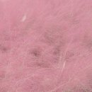 주은풍림아파트경로당 | 안성 팜랜드 후기 25.10.18. 기준! 재방문 할/말?