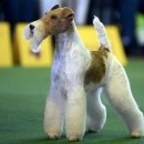 THE바리깡 이미지