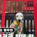 사랑하개 이미지