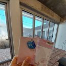 &lt;스닙-스닙페티-스닙&gt; 신제품 스티커 랜덤팩 개봉 후기