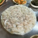 부산 용호동 섭자리 현지인 맛집 덕성호 내돈내산 솔직후기(모듬회, 조개구이, 해산물 주문)