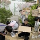 화창초교 이미지