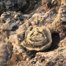 학림마을 이미지