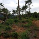 전의요셉의 집 이미지