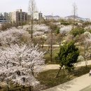 부평공원 이미지