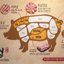 식껍진주점