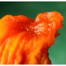 덕실농장 이미지