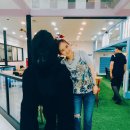 로로월드 이미지