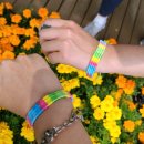 동자북마을 | 충남 서천 여행 코스 중 제일 좋았던 동자북마을 소곡주시음과 베짜기 체험