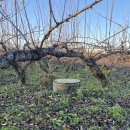 성환배영농조합법인 이미지