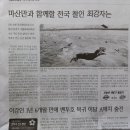 광고 사항!(2022,마산철인대회) 이미지