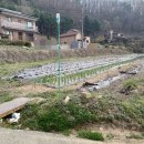 신원보건지소 이미지