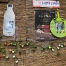 빈대떡양과막걸리군