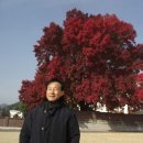 진해여자고등학교 이미지