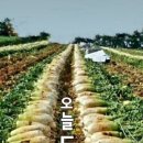 에스팸