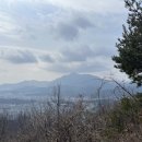 봉곡동388 이미지