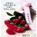 꽃향기 머무는 곳 Daum카페