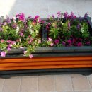 신안리마을회관 이미지